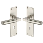 Bauhaus Door Handle on Plate