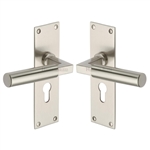Bauhaus Door Handle on Plate